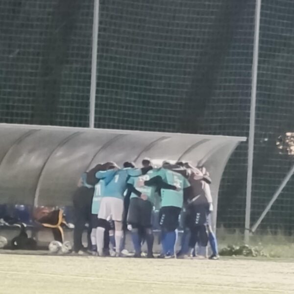 Previfitt SE - Testvériség-Újpalota SE 0-3 (0-2) (BLSZ Öregfiúk III./1. 8. forduló)