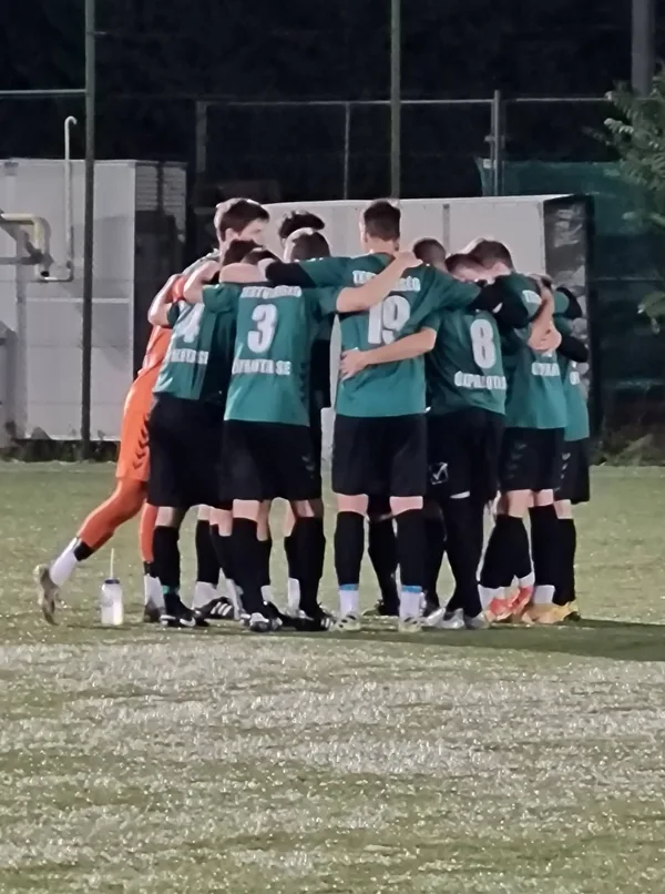 XII. Kerület Svábhegy FC - Testvériség-Újpalota SE II. 5-2 (2-1) (BLSZ II./1. 3. forduló)